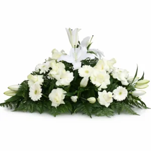 CX02 - Coixí Blanc