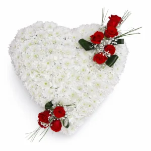COR1 – Cor Crisantem
