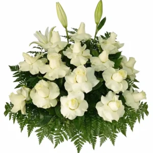 CV02 – Centre Ventall Roses